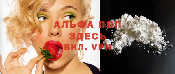 эйфоретик Дмитров