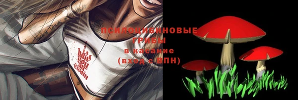 ALPHA PVP Дмитровск