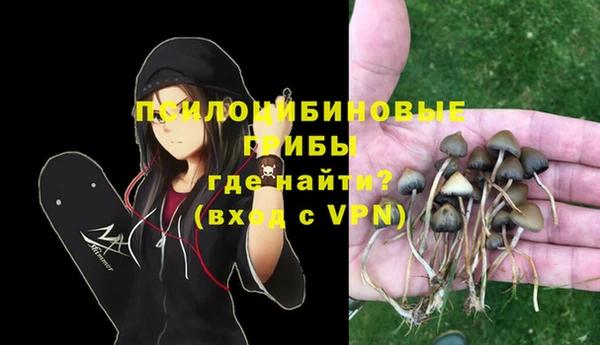 эйфоретик Дмитров