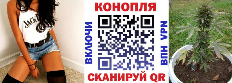 цена   Мытищи  кракен зеркало  Марихуана VHQ 